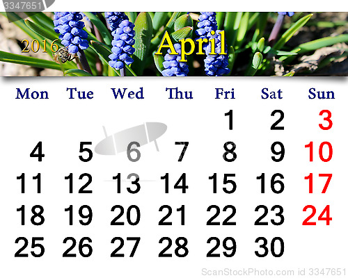 Image of calendar for April of 2016 with muscari