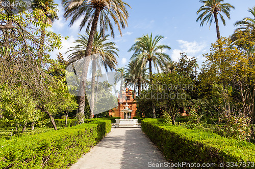 Image of Seville Alcazar Garden