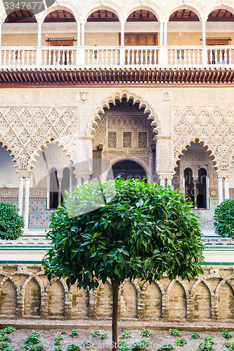 Image of Seville Alcazar Garden