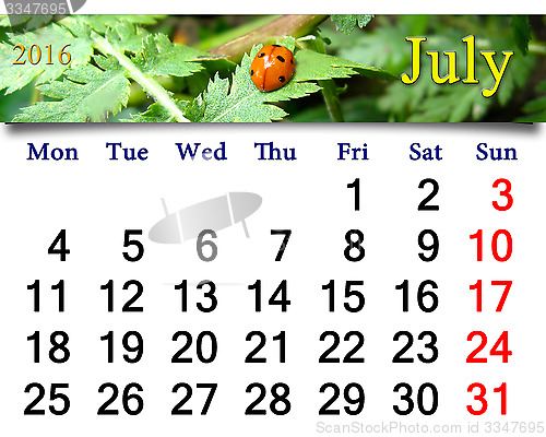 Image of calendar for July 2016 with ladybirds on the white camomile