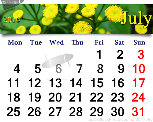 Image of calendar for July 2016 with yellow camomiles