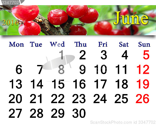 Image of calendar for June 2016 with red berries of Prunus tomentosa