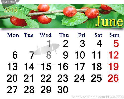 Image of calendar for June 2016 with red berries of Prunus tomentosa