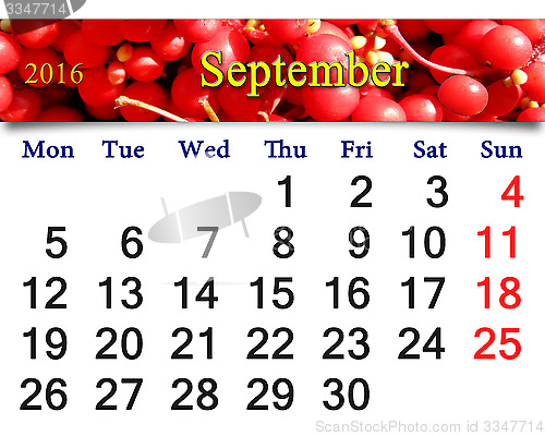 Image of calendar for September 2016 with branch of red ripe schisandra 