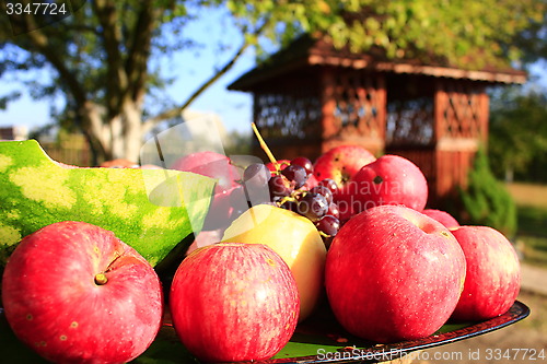 Image of red apples on the arbor background