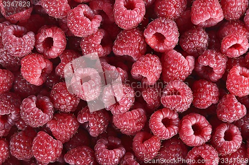 Image of Red Raspberries