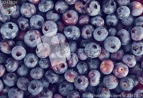 Image of Background with Blueberries