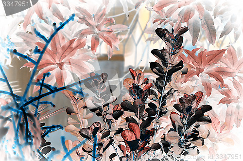 Image of Natural leaf background for text used
