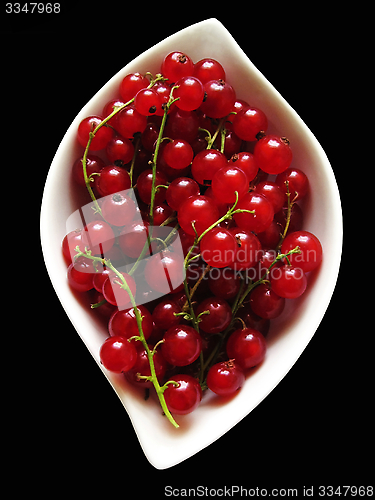 Image of Red currants