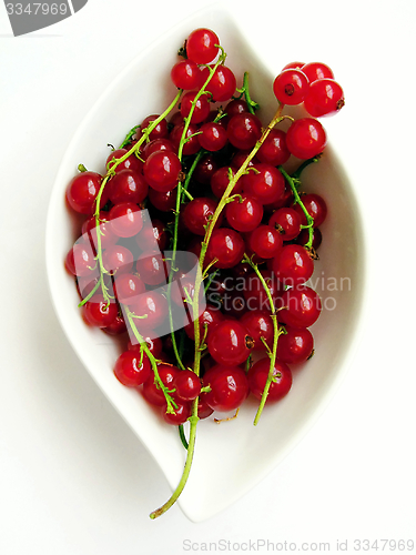 Image of red currants