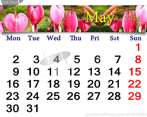 Image of calendar for May 2016 with dicentra