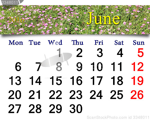 Image of calendar for July 2016 with image of wild carnation
