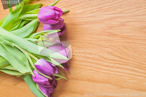 Image of Row of multicolored tulips for border or frame