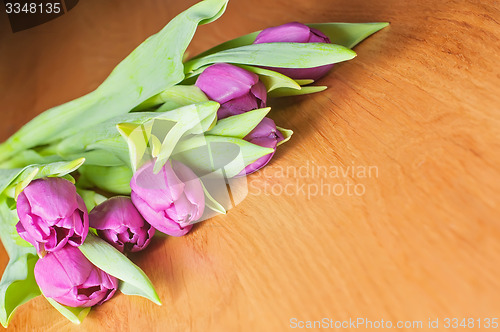 Image of Violet tulips on the table