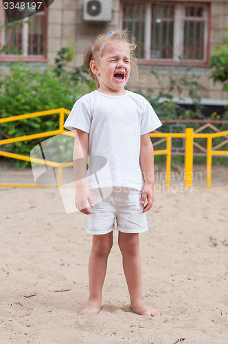 Image of The three-year girl crying on the playground