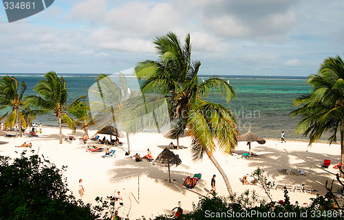 Image of tropical beach