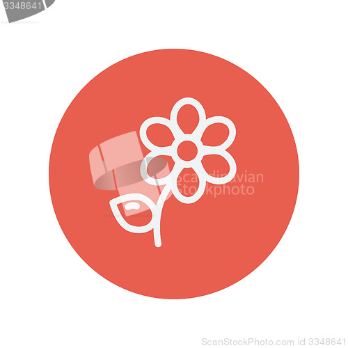 Image of Flower thin line icon