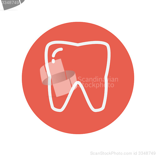 Image of Tooth thin line icon
