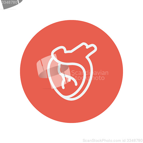 Image of Human heart thin line icon