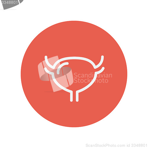 Image of Uterus and ovaries thin line icon