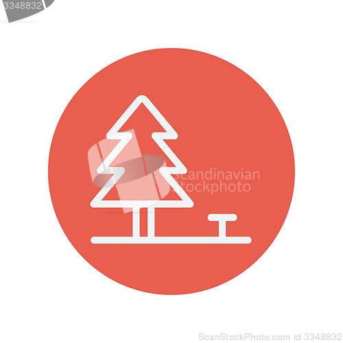 Image of Pine tree thin line icon
