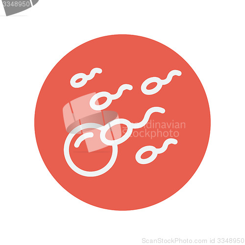 Image of Sperm and egg cells thin line icon