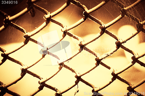 Image of Green metal iron mesh background.