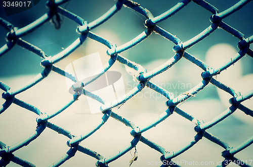 Image of Green metal iron mesh background.