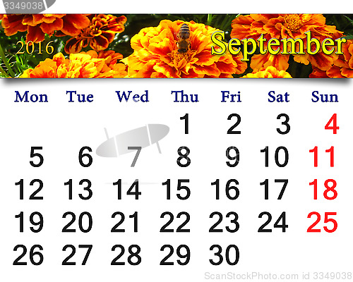Image of calendar for September 2016 with tagetes