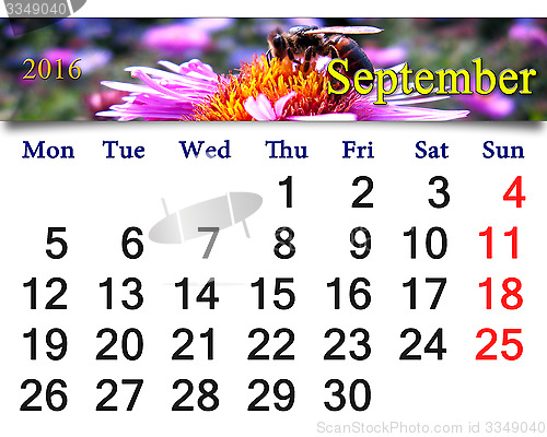 Image of calendar for September 2016 with bee on pink asters