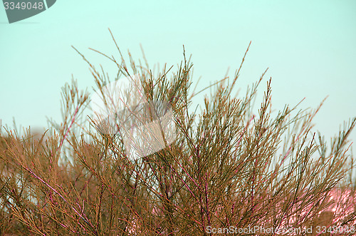 Image of Green leaf and blue sky fine nature background.