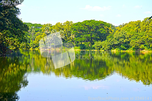 Image of Clean lake in green spring summer forest. Blue sunny sky.