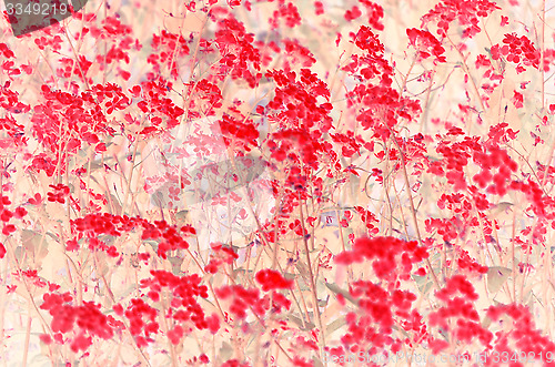 Image of Pink and white blossom flower on natural parchment background.