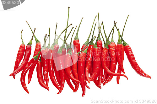 Image of Red Chili Peppers