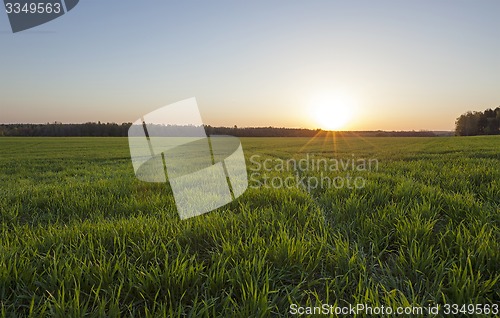 Image of agriculture  