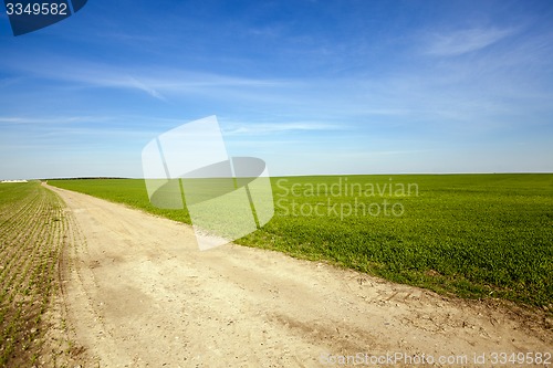 Image of the rural road  