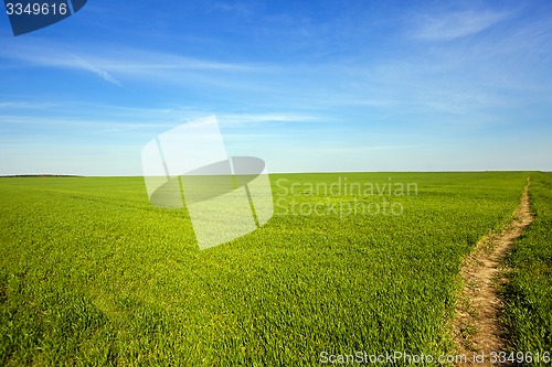 Image of the rural road 