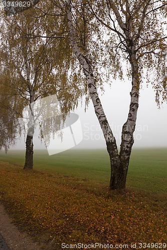 Image of the autumn road 