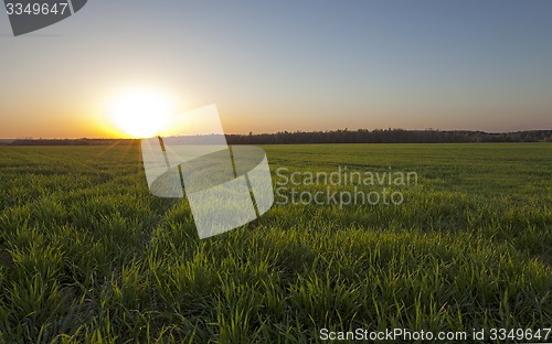 Image of agriculture  