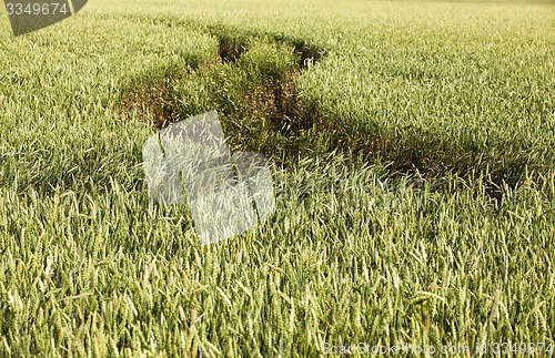 Image of agricultural field  