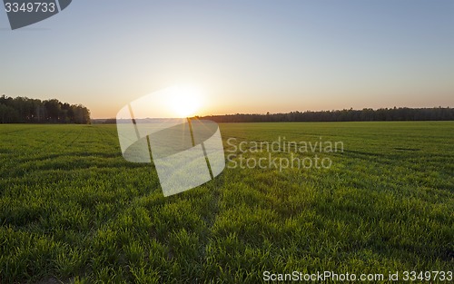 Image of agriculture  