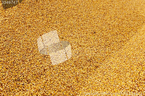 Image of heap corn  