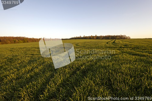 Image of agriculture  