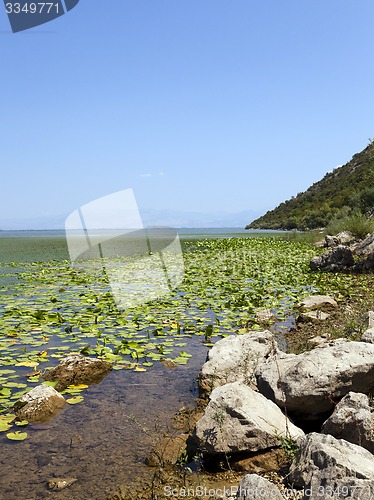 Image of the lake 