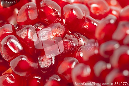 Image of ripe pomegranate  