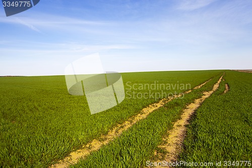 Image of the rural road  