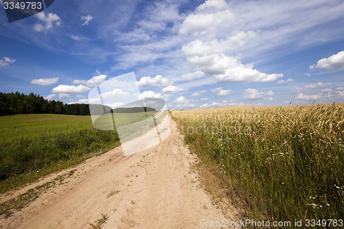 Image of the rural road  