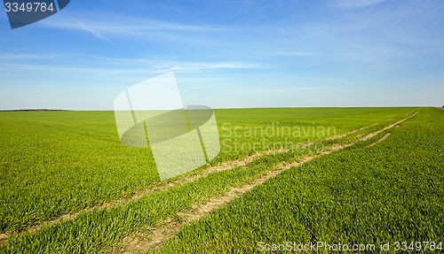 Image of the rural road  