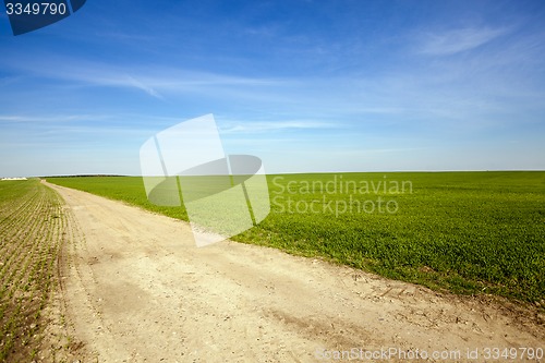 Image of the rural road 