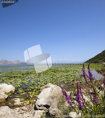 Image of the lake (Montenegro)  